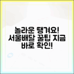 놀라운 땡겨요 상품권, 서울배달 전 필독 꿀팁!