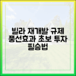 초보 투자자를 위한 빌라 재개발, 규제 풍선효과 잡아라