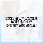 2025년 본인부담상한제, 누가, 얼마나, 어떻게 받나?