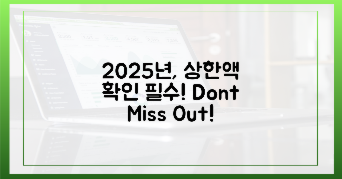 2025년, 상한액 직접 확인