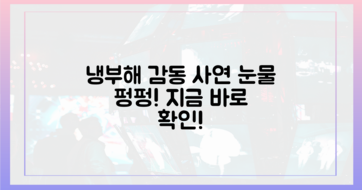 냉부해 속 감동적인 사연을 직접 느껴보세요