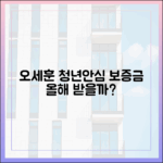 오세훈 "청년안심 보증금, 연내 받을 수 있을까?