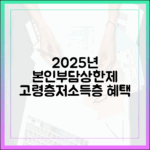 2025년 본인부담상한제, 고령자와 저소득층에게 더 큰 혜택