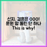 신지, '문원♥' 1가지 이유로 결혼 결심!