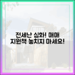 전세난 심화! 실수요자 매매 지원책, 누구나 잡자!