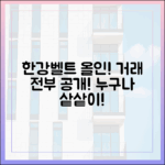 한강벨트 정조준! 모든 거래, 누구나 샅샅이 본다