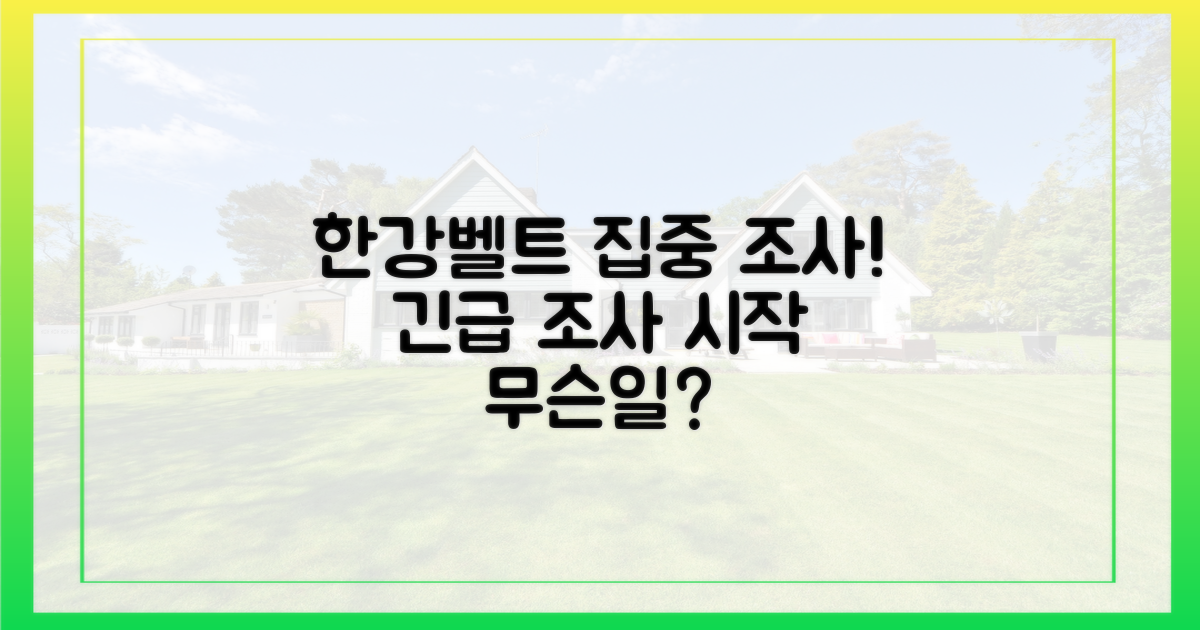 한강벨트' 집중 조사 시작
