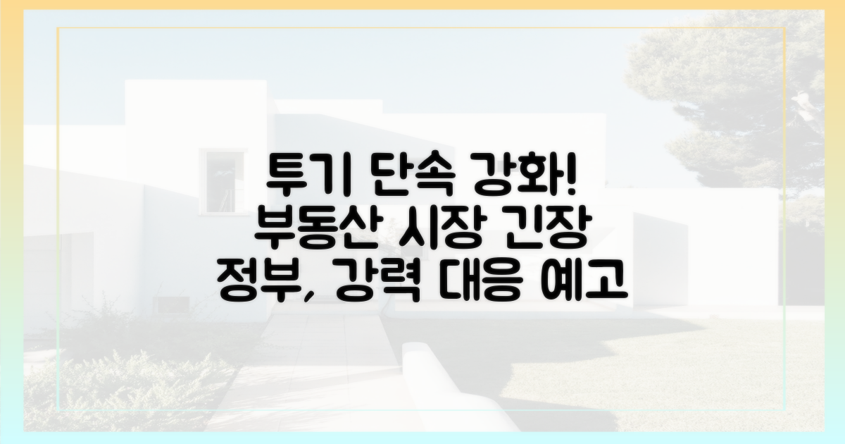 투기 단속 강화 전망