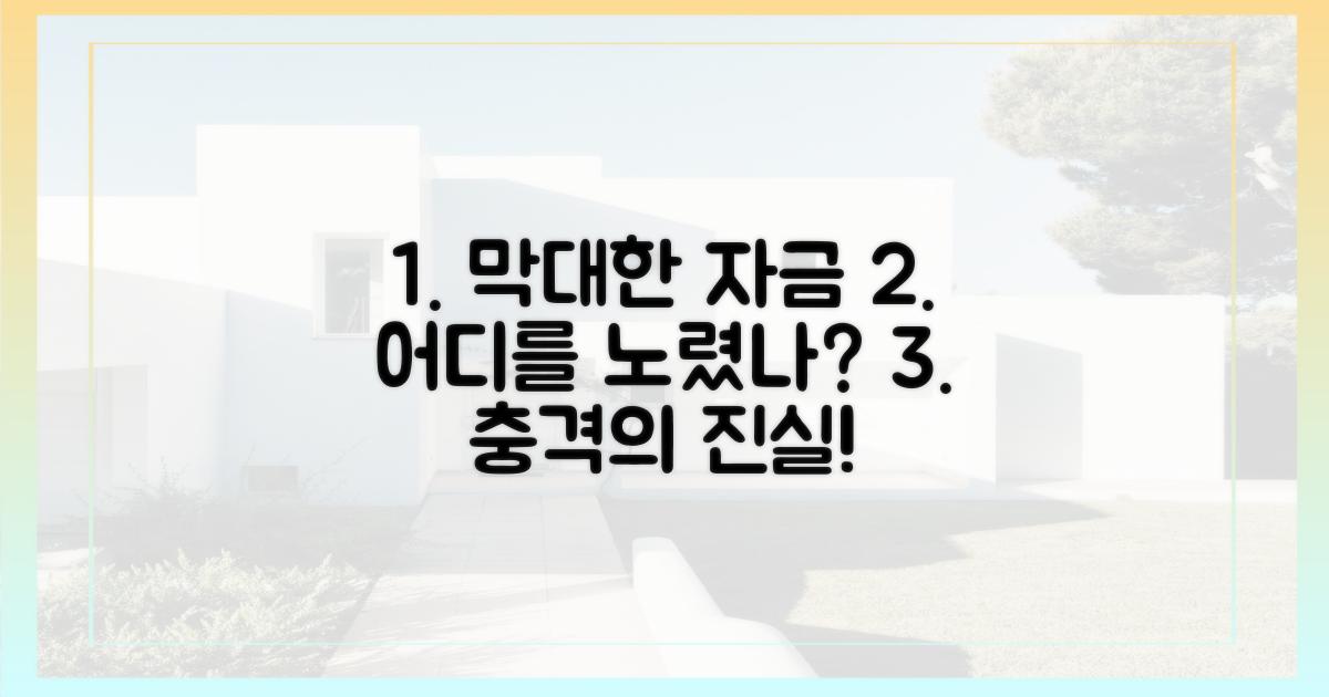 막대한 자금, 노린 곳은?