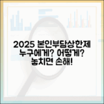 2025년 본인부담상한제, 누구에게, 어떻게 적용되나?