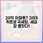 **20대 취준생, 20억 아파트? 국세청 칼 뽑았다!**