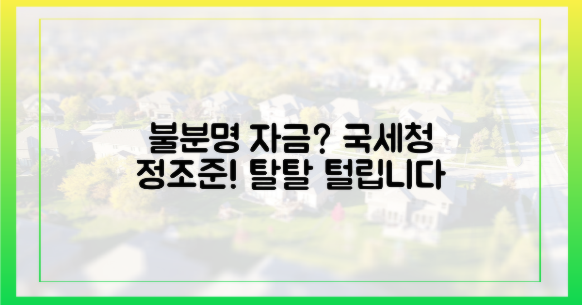 자금 출처 불분명, 국세청 정조준