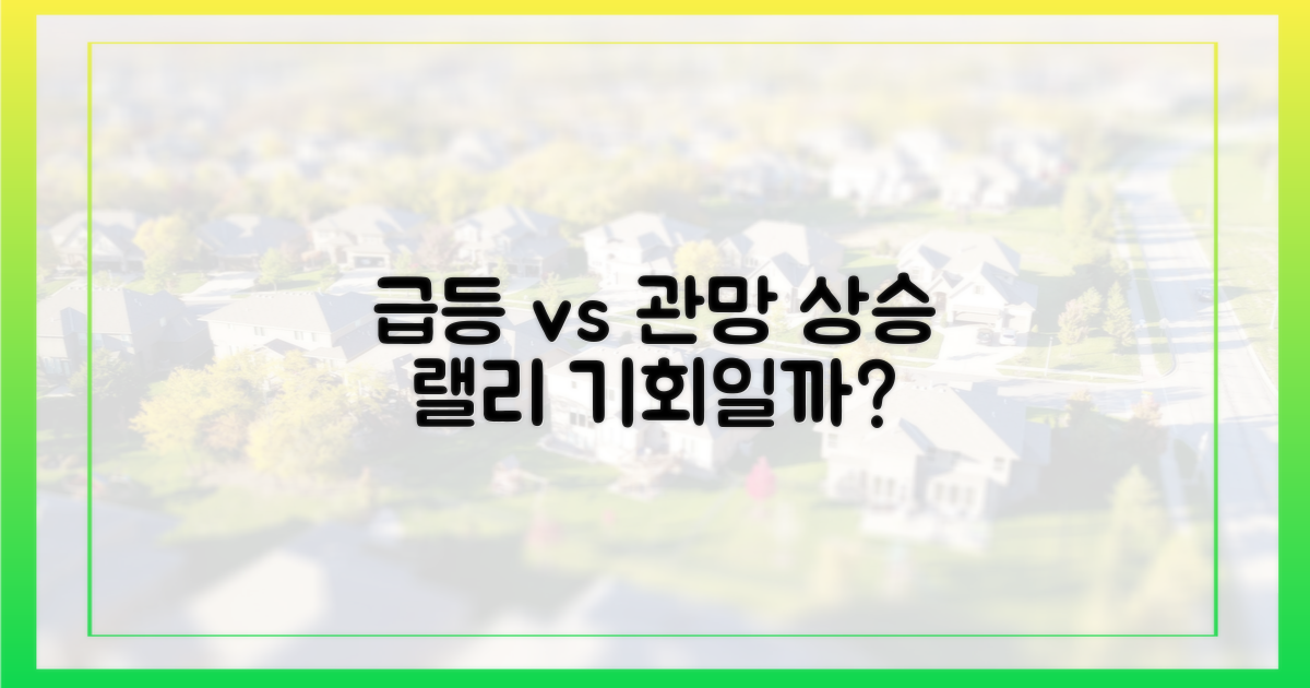 급등론 vs 안정적 관망