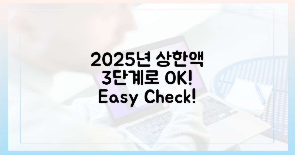 2025년 상한액, 3단계로 확인