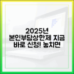 2025년 본인부담상한제, 지금이 바로 신청 적기! 놓치지 마세요