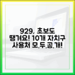 9월 29일, 초보도 땡겨요! 우리 동네 10개 자치구 사용처 공개!