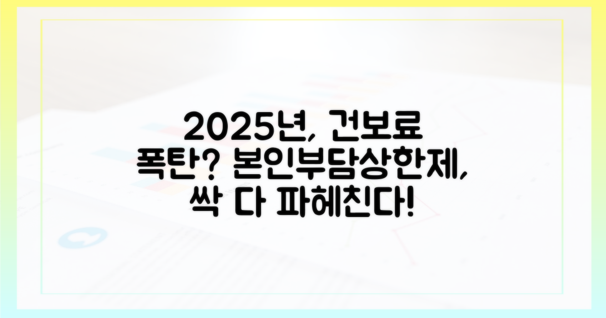 2025년, 본인부담상한제 파헤치기