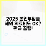 2025년 본인부담상한제, 해외 의료비도 포함될까?