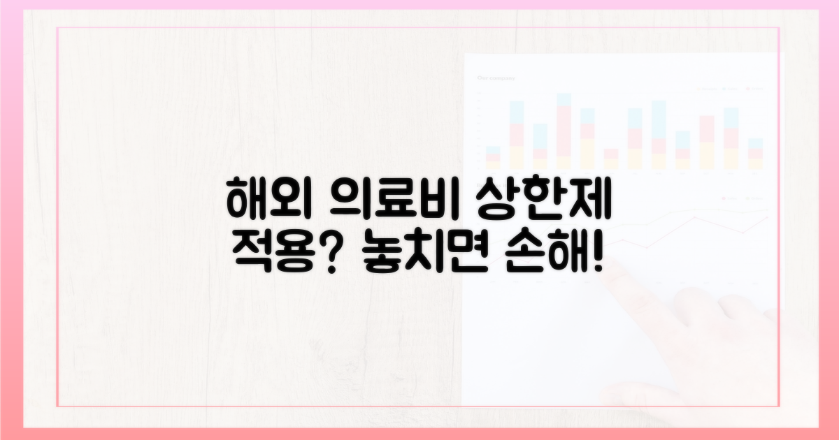 해외 의료비, 상한제 적용 가능성