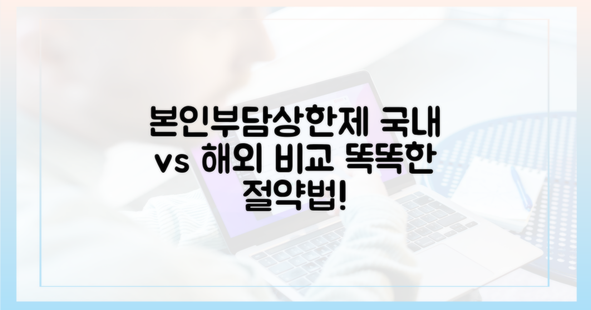 국내외 본인부담상한제 비교