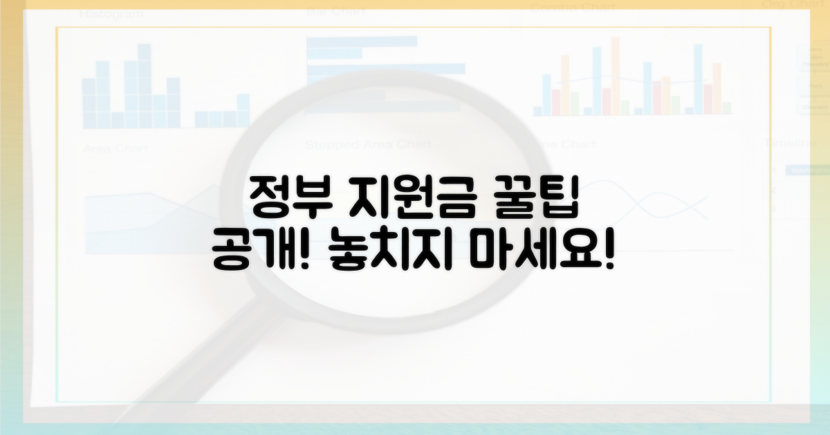 정부 지원금 활용법