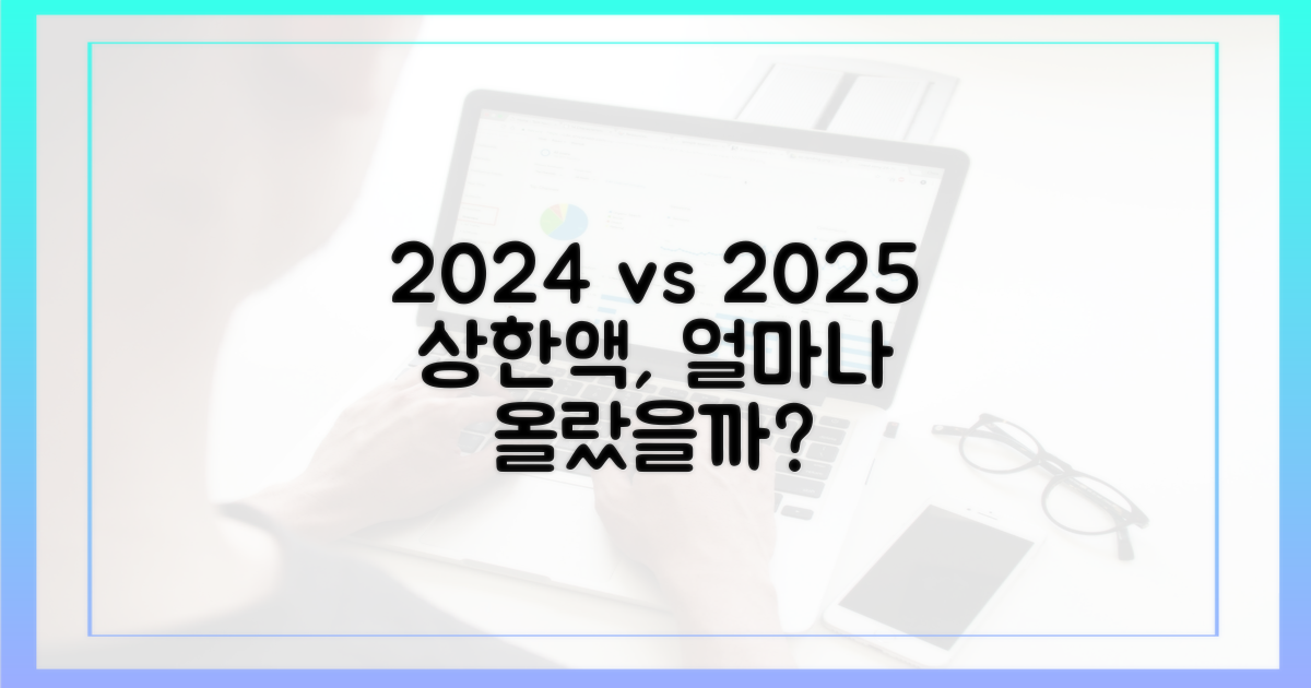 2024년과 2025년 상한액 비교