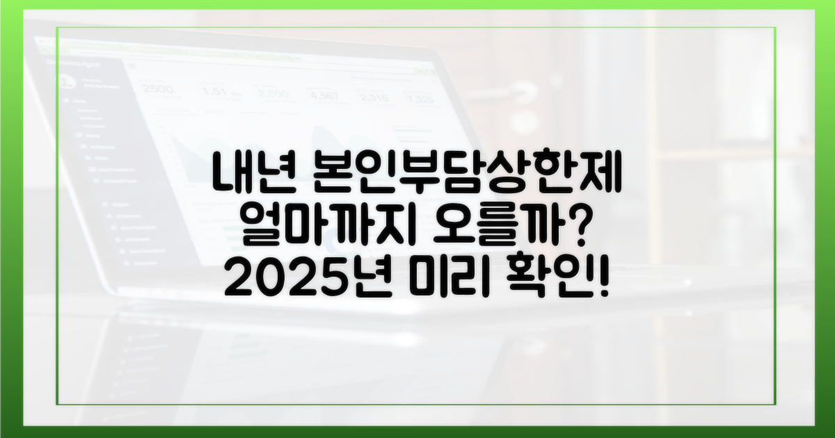 내년 본인부담상한제 예측