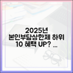 본인부담상한제 2025년 개정안, 소득 하위 10%에게 더 큰 혜택?