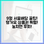 2025년 9월, 서울배달+땡겨요 상품권 득템 찬스일까요?
