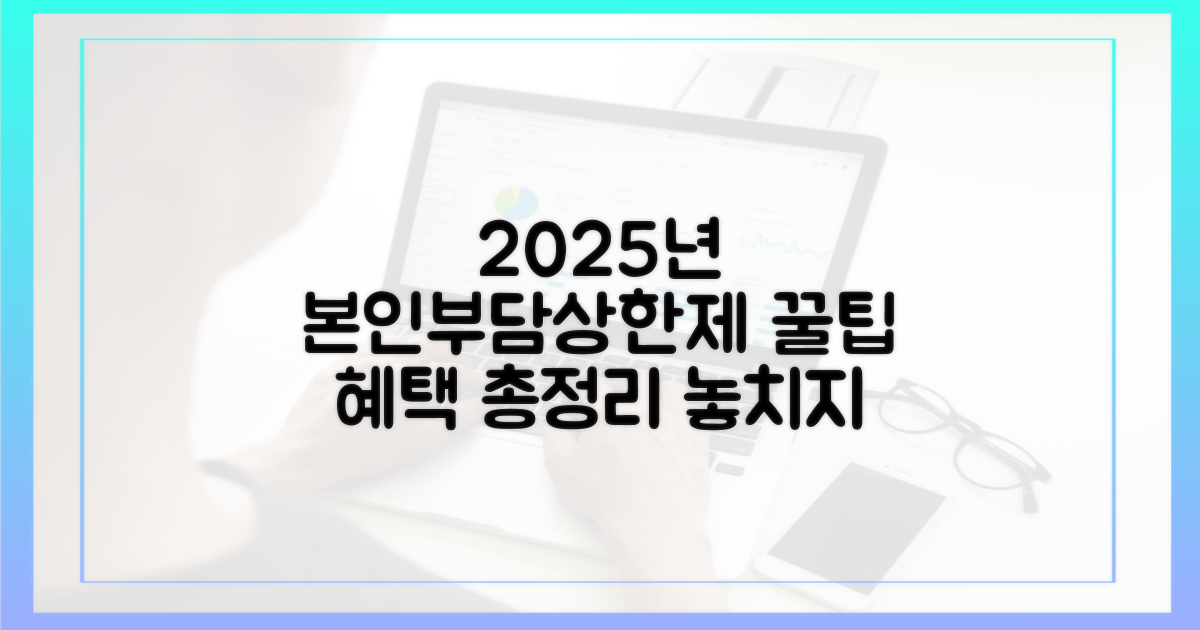2025년 본인부담상한제 혜택