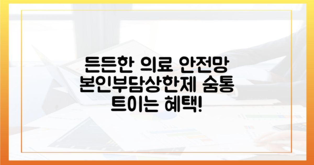 든든한 의료 안전망, 본인부담상한제
