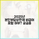 2025년 본인부담상한제, 비급여 항목은 포함될까?