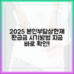 2025년 본인부담상한제, 환급금 지급 시기 및 확인 방법