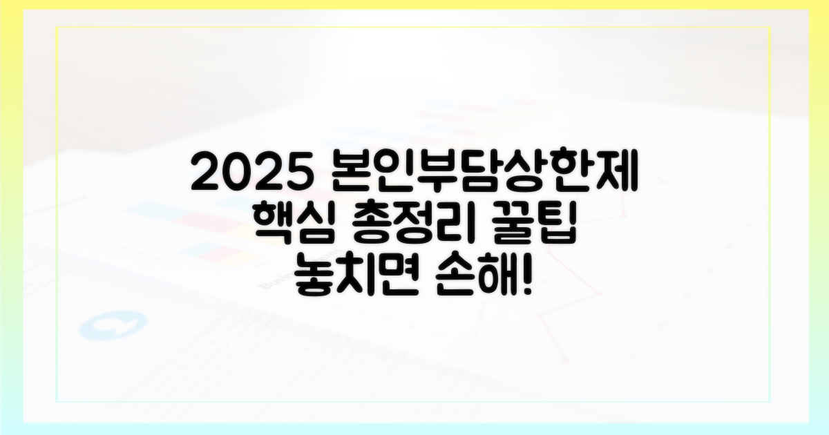 2025 본인부담상한제란?