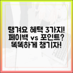 땡겨요 상품권 혜택 3가지: 페이백vs포인트 차이점