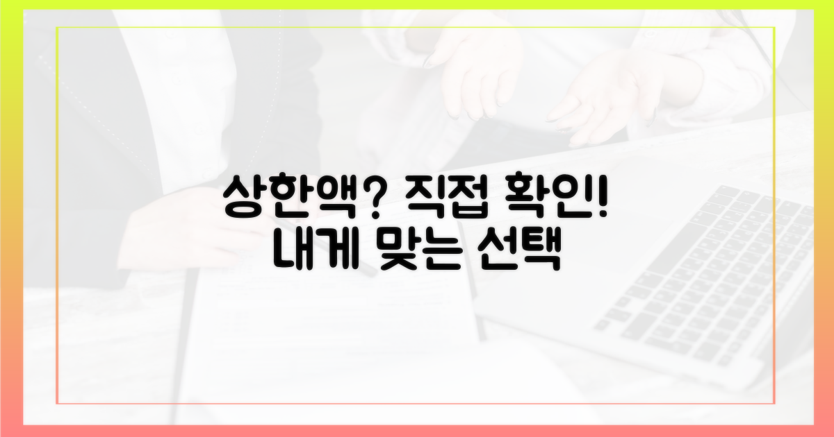 나에게 맞는 상한액, 직접 확인하세요.