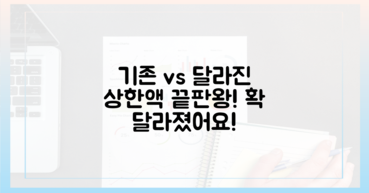기존 vs 달라진 상한액