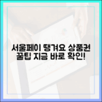 서울페이+ 땡겨요 상품권 완벽 가이드