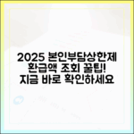 본인부담상한제 2025년 시행! 예상 환급액 조회 방법과 꿀팁 대방출