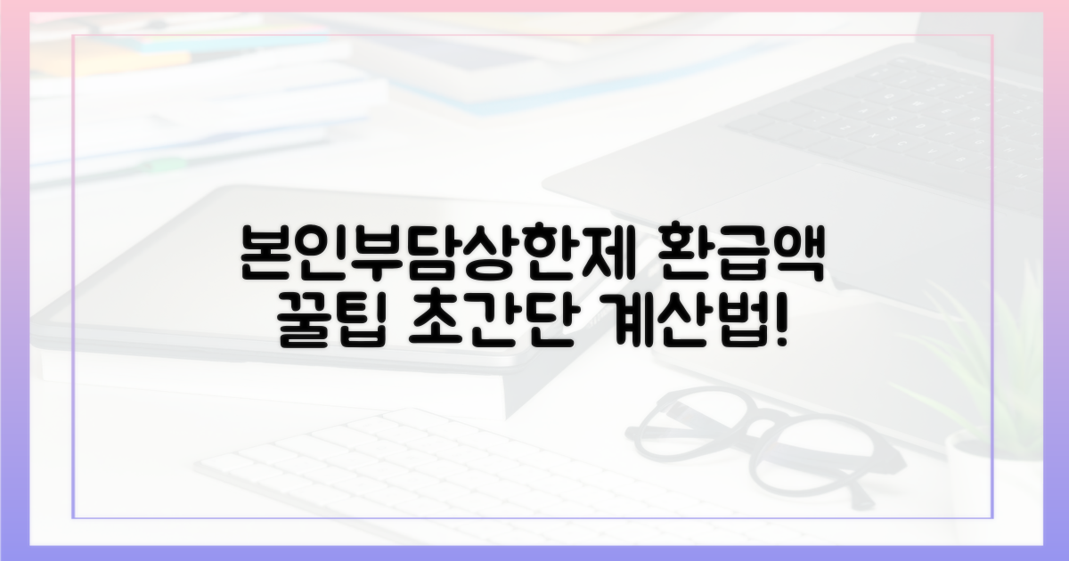 본인부담상한제, 환급액 예상 계산법