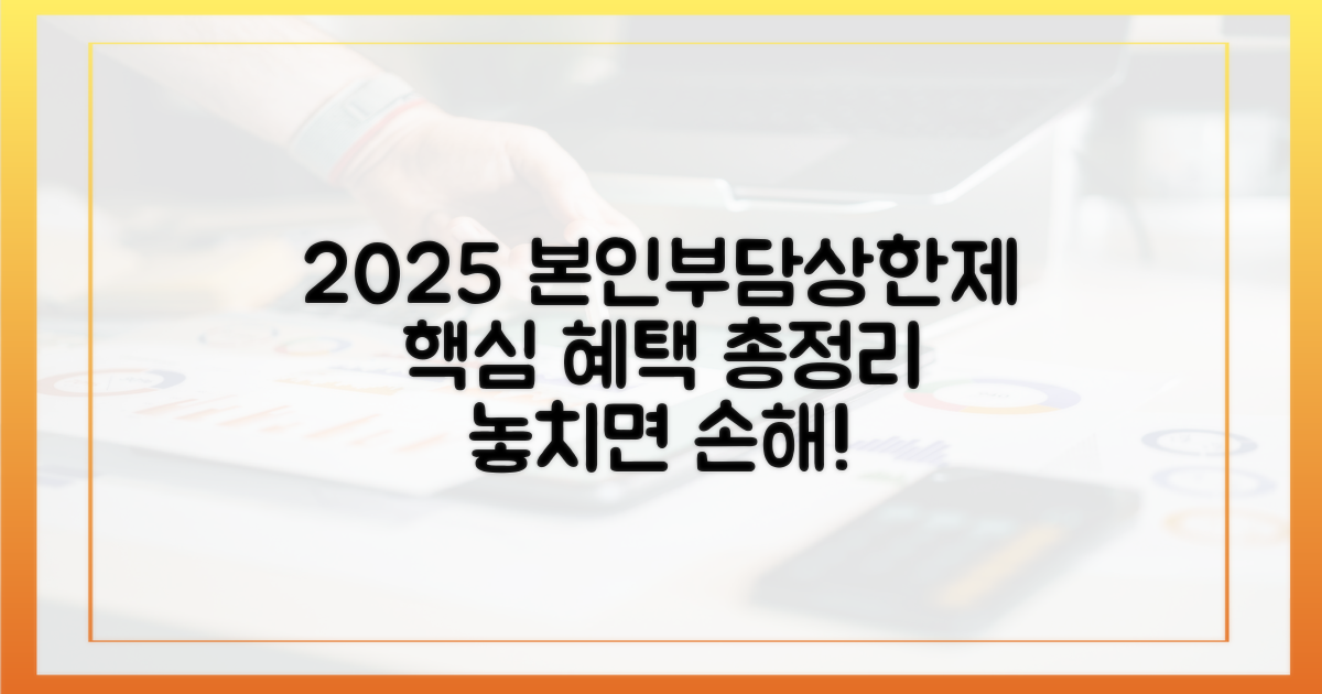 2025 본인부담상한제, 핵심 파헤치기