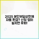 2025년 본인부담상한제, 신청하지 않아도 자동 환급될까?