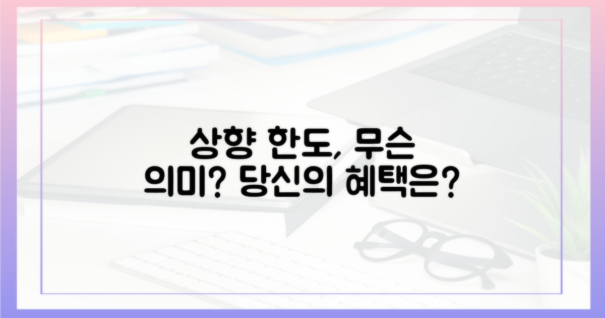 상향된 한도의 의미
