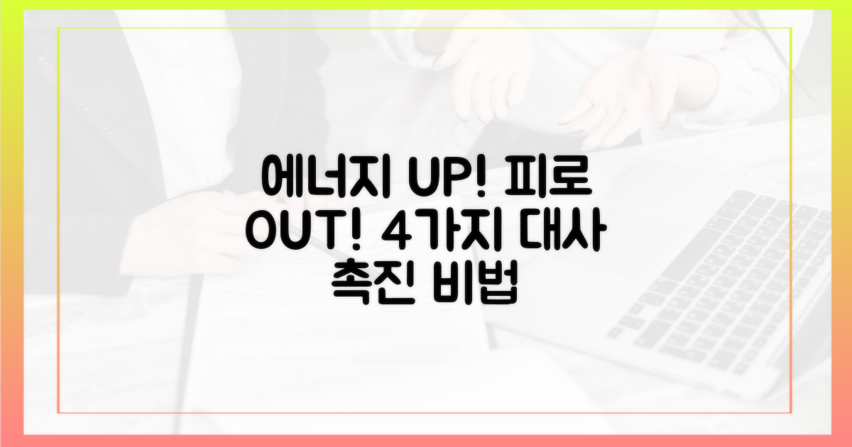 4가지 에너지 대사 촉진, 피로 개선