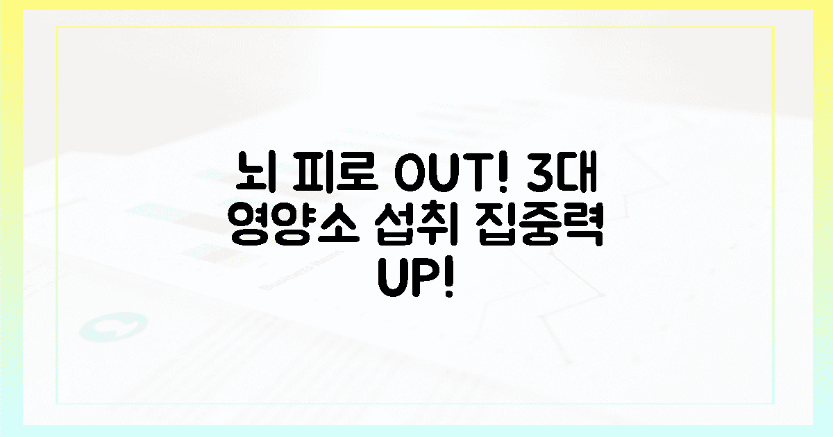 뇌 피로 해소 3대 영양소