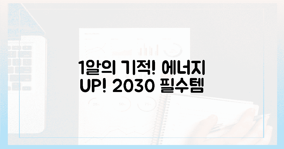 2030 필수템! 1알의 기적, 에너지 UP!