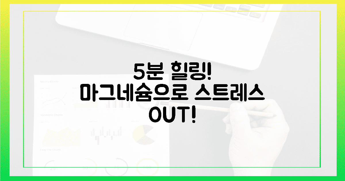 5분 투자! 스트레스 킬러 마그네슘, 당신의 삶을 바꾼다