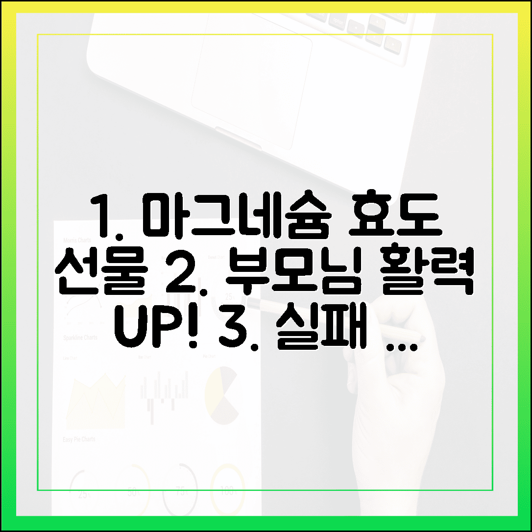 부모님 활력 되찾아드릴 효도 선물, 실패 없는 마그네슘 영양제 선택 기준 3