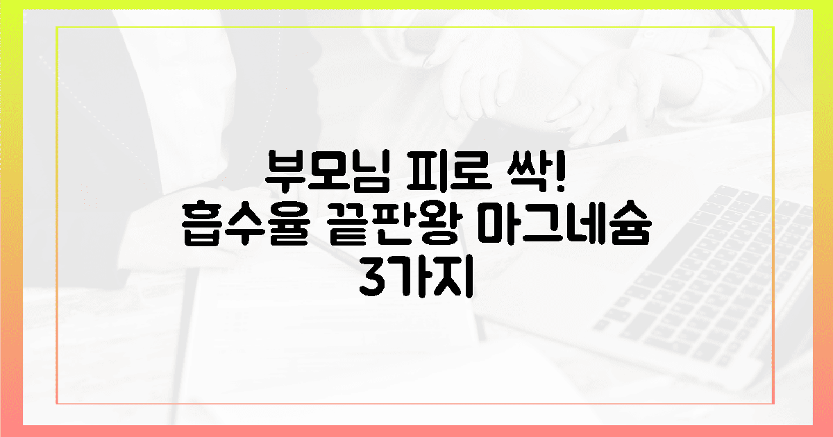 부모님 피로 싹! 흡수율 높은 마그네슘 3가지