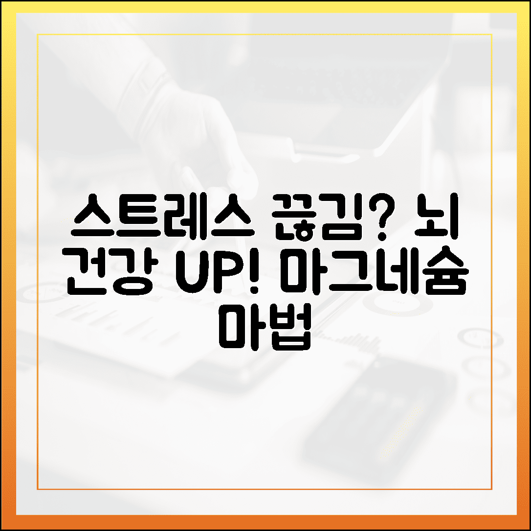 스트레스 받으면 툭 끊기는 필름, 뇌 건강 지키는 마그네슘 하루 한 알의 마법